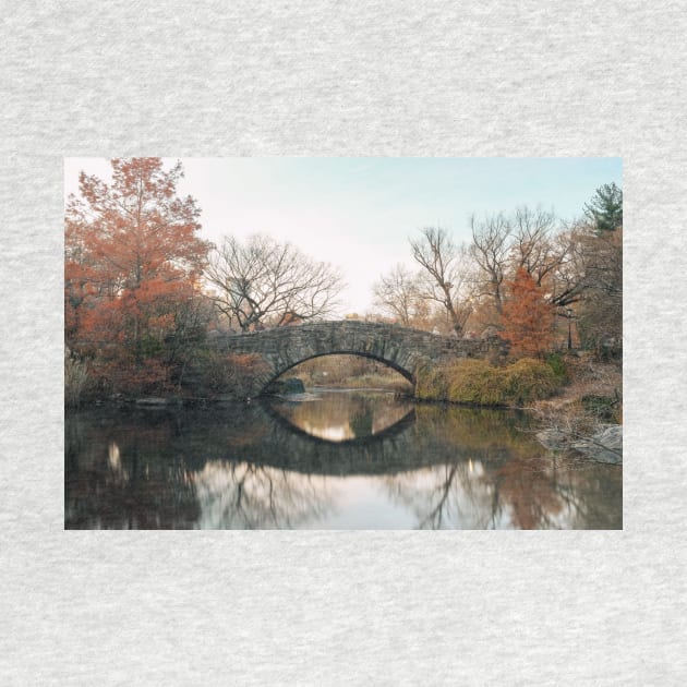 Central Park Bridge Reflection by igjustin